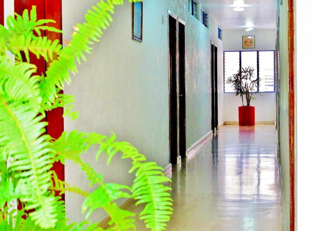 Hotel Acuario 카테마코 외부 사진