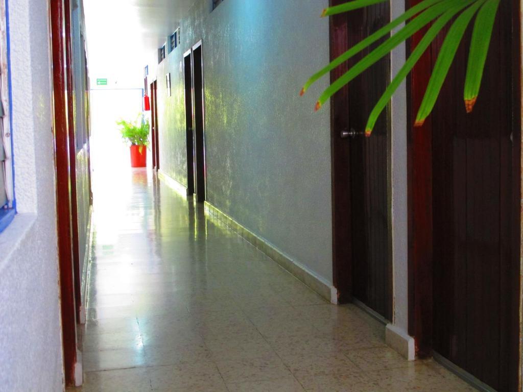 Hotel Acuario 카테마코 외부 사진