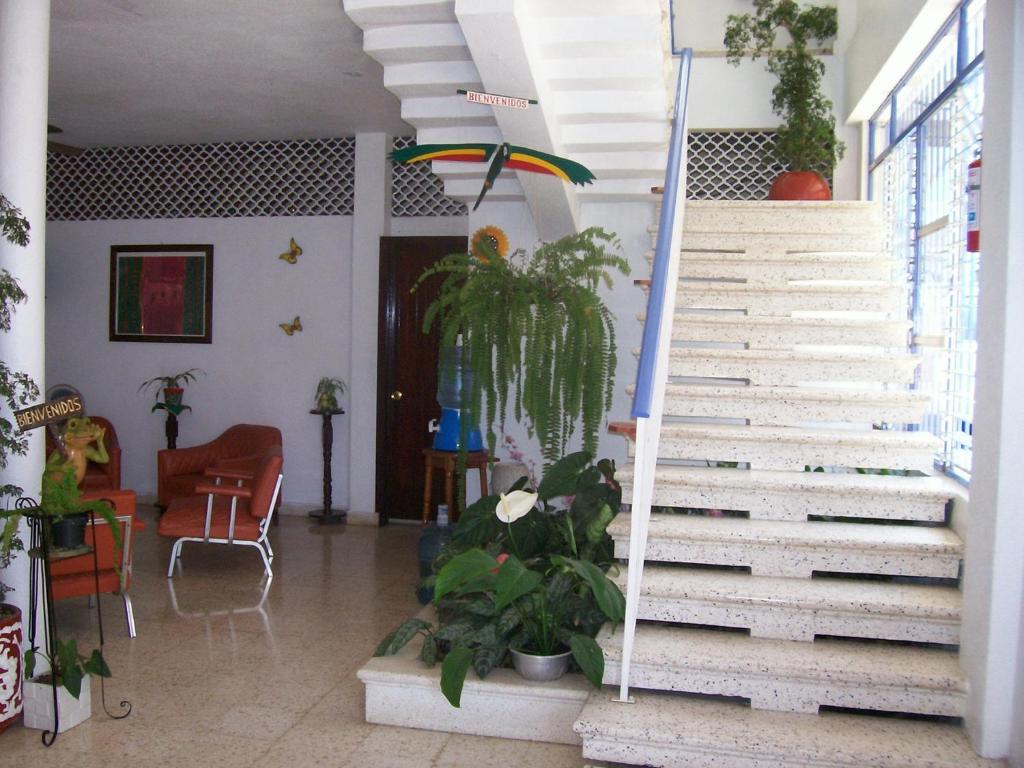 Hotel Acuario 카테마코 외부 사진
