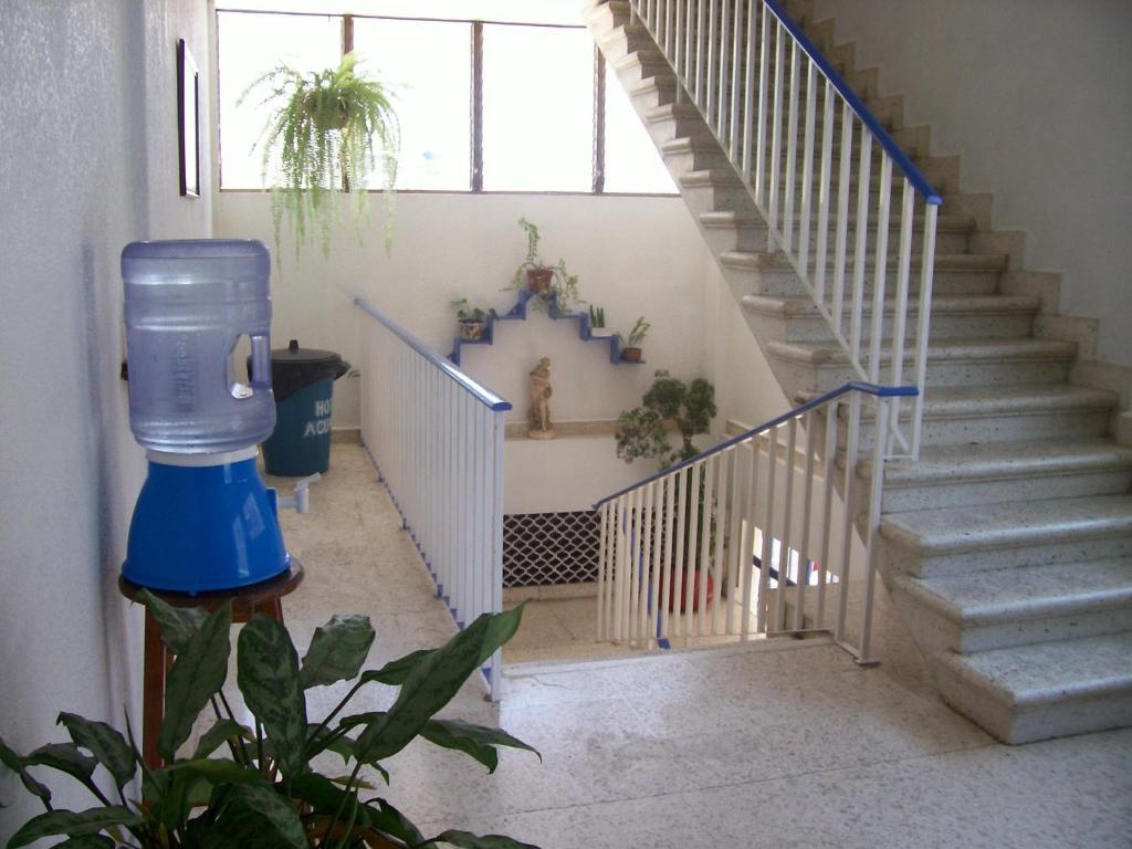 Hotel Acuario 카테마코 외부 사진